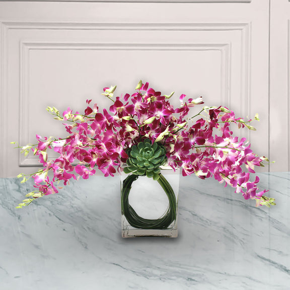 Arreglo Floral Orquideas Dendrobium | CELEBRACION