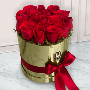 Anna Fyf C29e5a9e 4e89 Bb0f 1d007c9c8eff.png