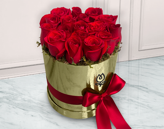 Anna Fyf C29e5a9e 4e89 Bb0f 1d007c9c8eff.png