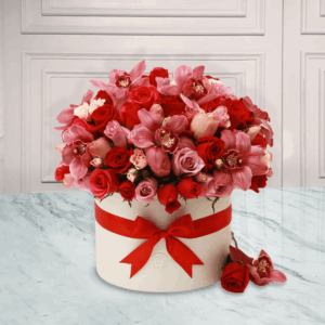 Michelle Con Fondo Blanco.png