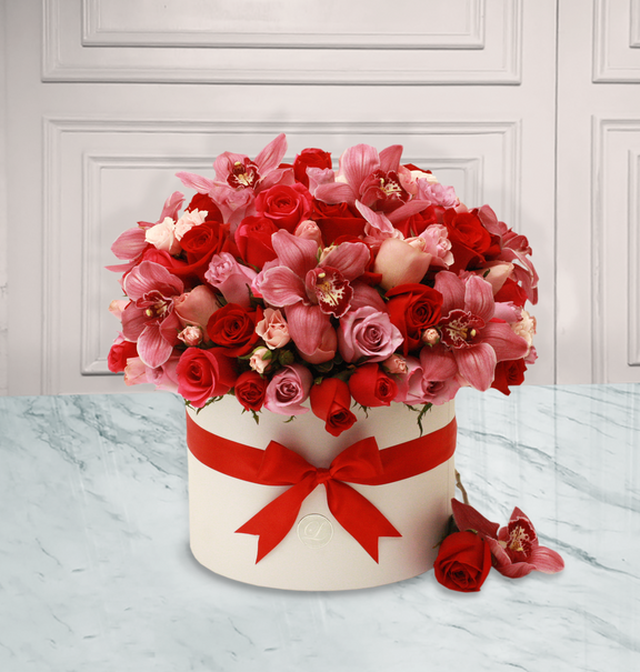 Michelle Con Fondo Blanco.png