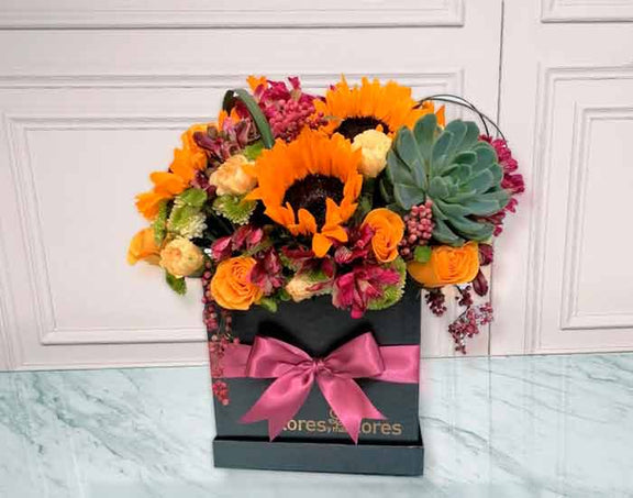 SUCCULENT Q 0034.jpg