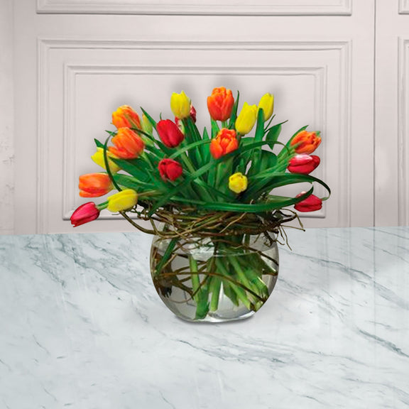 Esplendido Con Fondo 4b5c8dc3 243f 41d5 Abbb Da3068071829.jpg