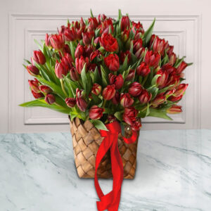 Ines Fyf 602d0146 E5cc E2d73bc6b99a.jpg